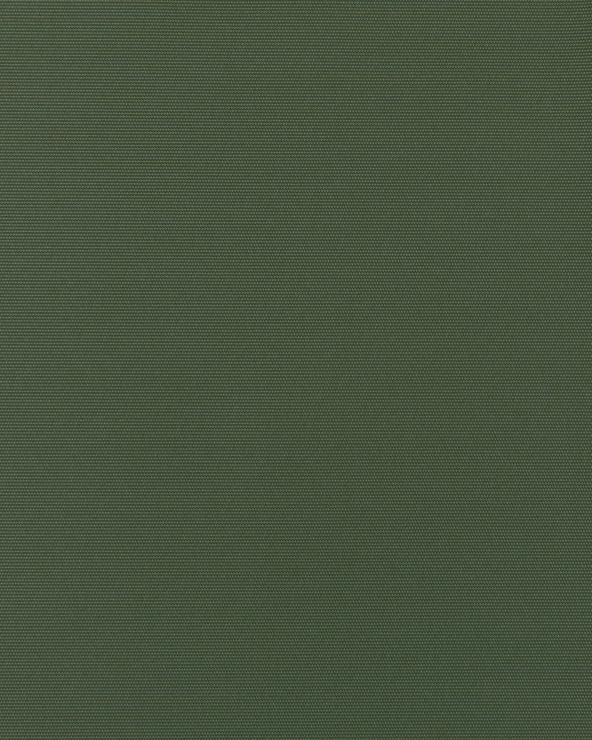 Holly SMI-021