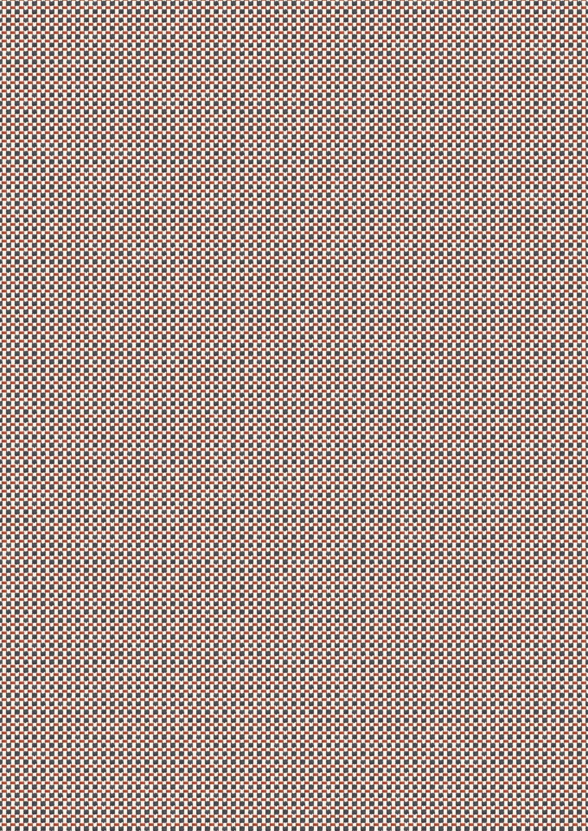 Ladybird 51036