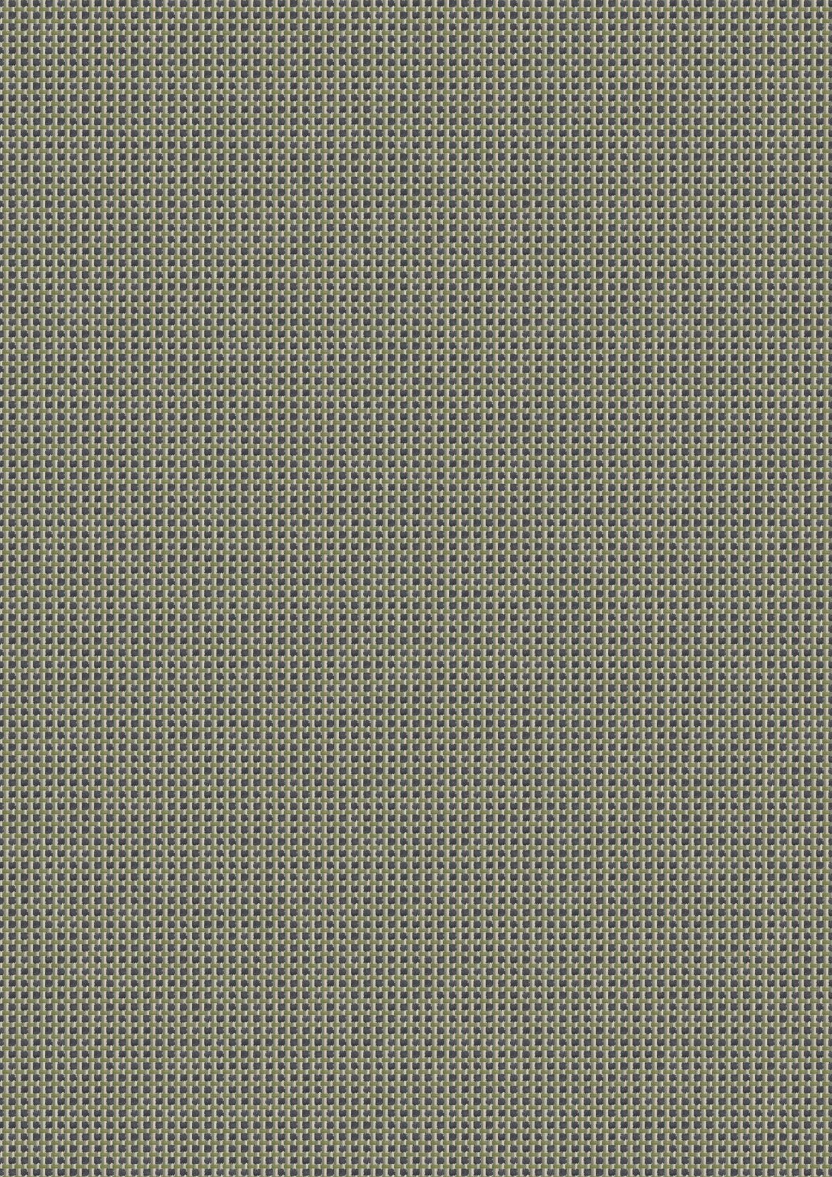 Sparrow 51041