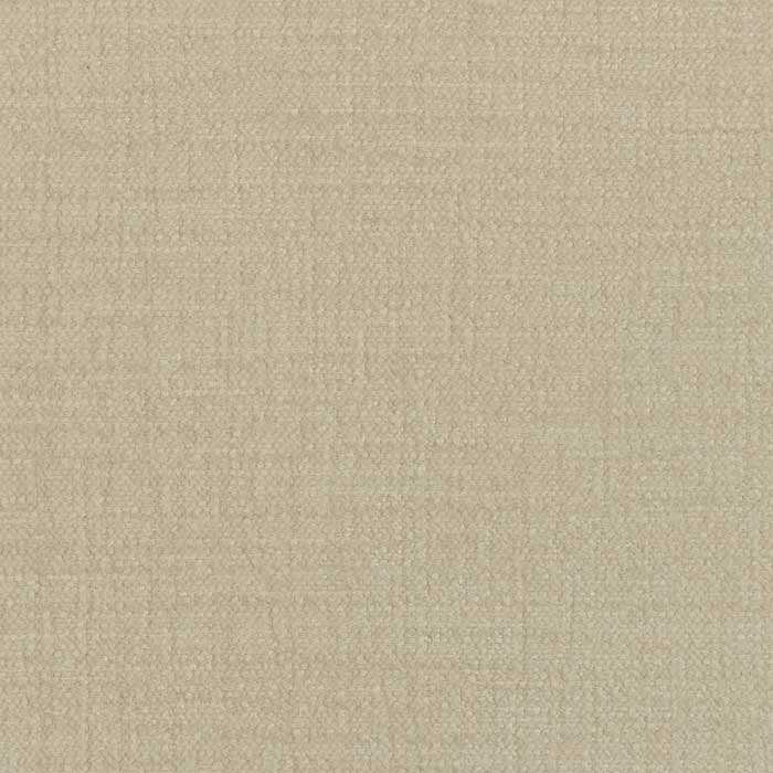 Downy NCOP-08