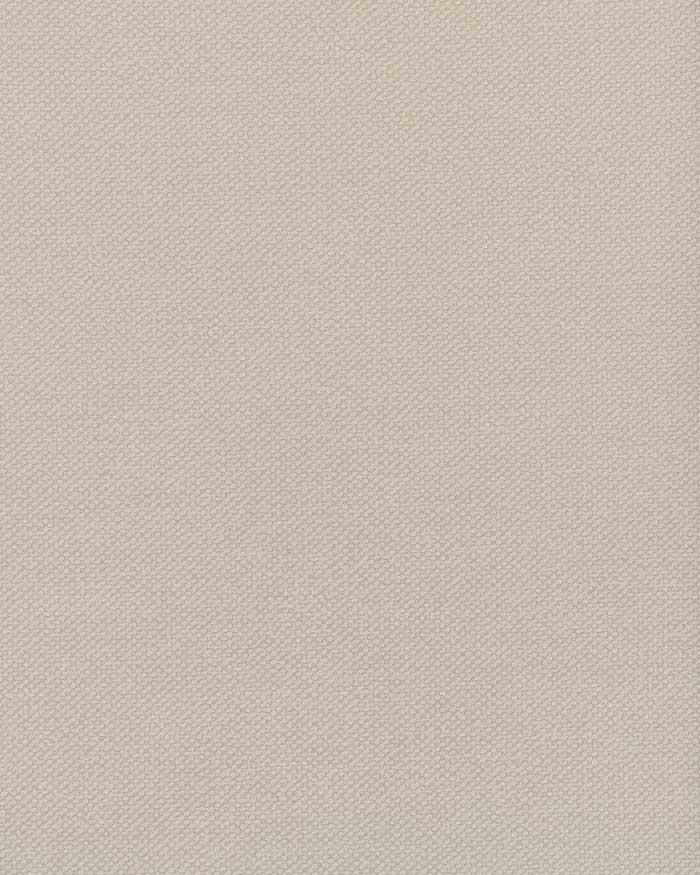 Fog SNO-011