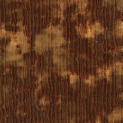 Grove Velvet